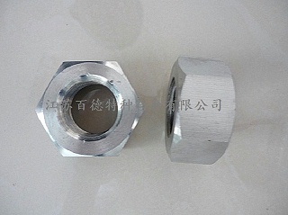 沉淀硬化鋼17-4PH螺母