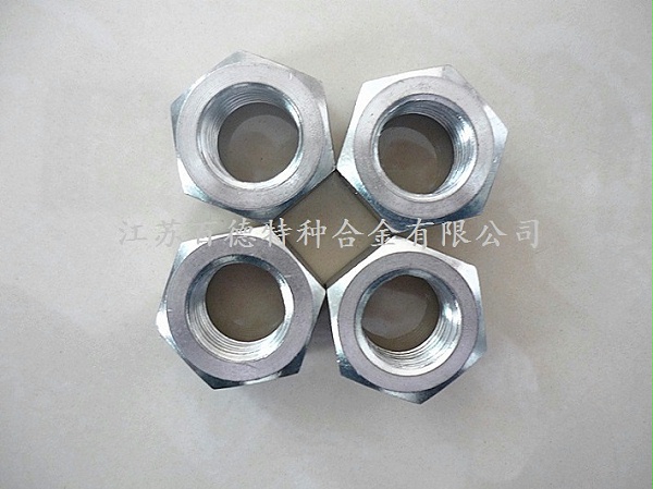 耐蝕合金XM-19(S20910/Nitronic50)螺母